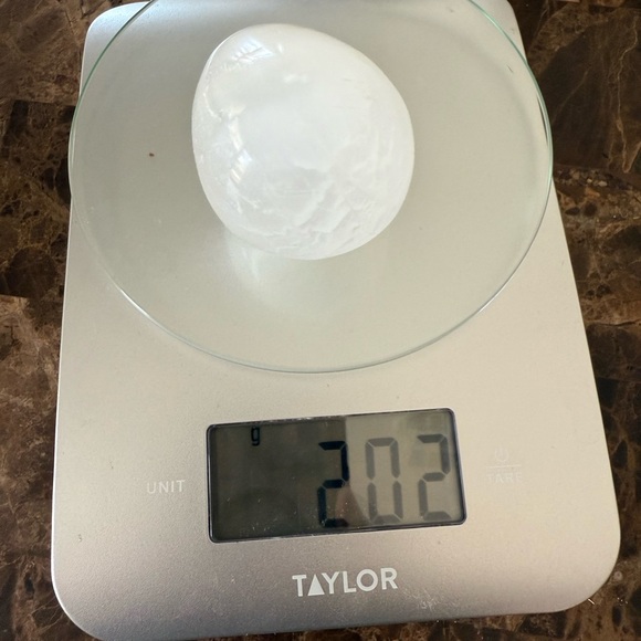 Fossil Ammonite🐌 - Picture 11 of 14